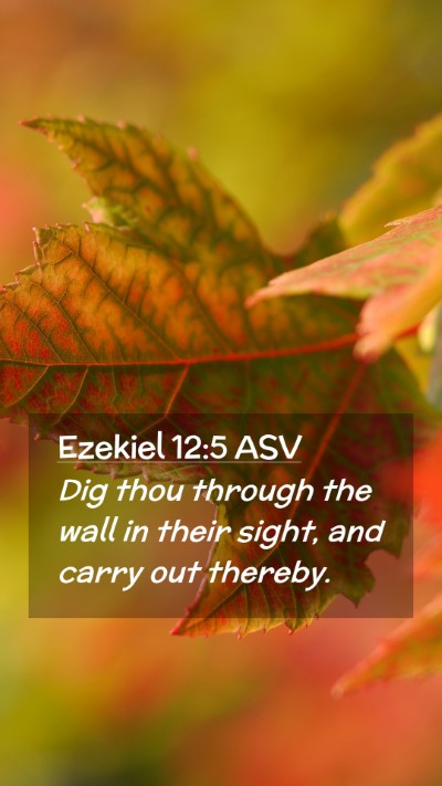 Picture 02 - Ezekiel 12:5 ASV Mobile Phone Wallpaper - Dig thou through the wall in their sight, and - Mobile Bible Verse Wallpaper