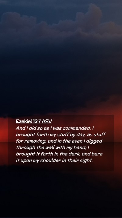 Picture 02 - Ezekiel 12:7 ASV Mobile Phone Wallpaper - And I did so as I was commanded: I brought forth - Mobile Bible Verse Wallpaper