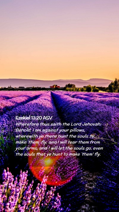 Picture 02 - Ezekiel 13:20 ASV Mobile Phone Wallpaper - Wherefore thus saith the Lord Jehovah: Behold, I - Mobile Bible Verse Wallpaper