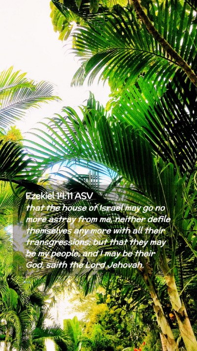Picture 02 - Ezekiel 14:11 ASV Mobile Phone Wallpaper - that the house of Israel may go no more astray - Mobile Bible Verse Wallpaper