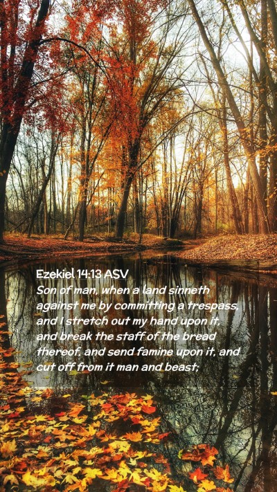 Picture 02 - Ezekiel 14:13 ASV Mobile Phone Wallpaper - Son of man, when a land sinneth against me by - Mobile Bible Verse Wallpaper