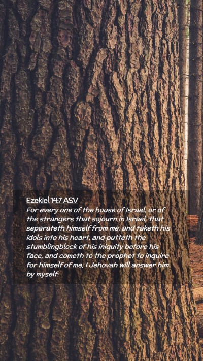 Picture 02 - Ezekiel 14:7 ASV Mobile Phone Wallpaper - For every one of the house of Israel, or of the - Mobile Bible Verse Wallpaper