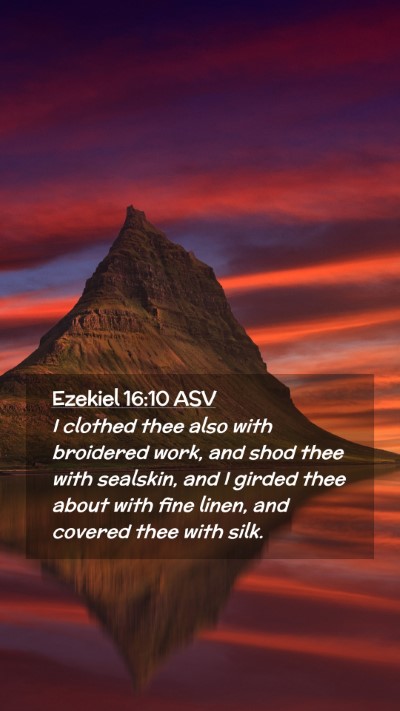Picture 02 - Ezekiel 16:10 ASV Mobile Phone Wallpaper - I clothed thee also with broidered work, and shod - Mobile Bible Verse Wallpaper