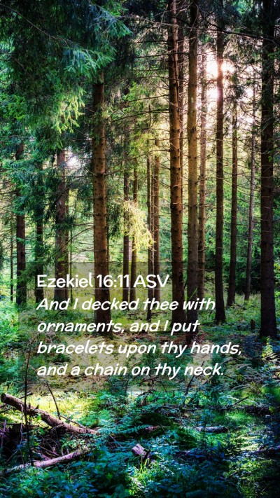 Picture 02 - Ezekiel 16:11 ASV Mobile Phone Wallpaper - And I decked thee with ornaments, and I put - Mobile Bible Verse Wallpaper
