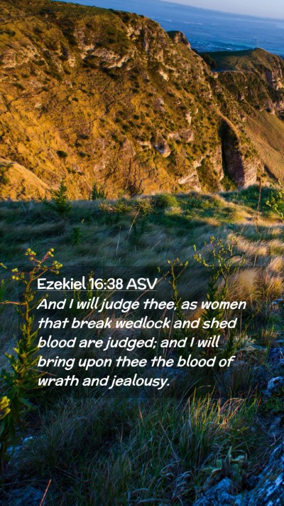 Picture 02 - Ezekiel 16:38 ASV Mobile Phone Wallpaper - And I will judge thee, as women that break - Mobile Bible Verse Wallpaper