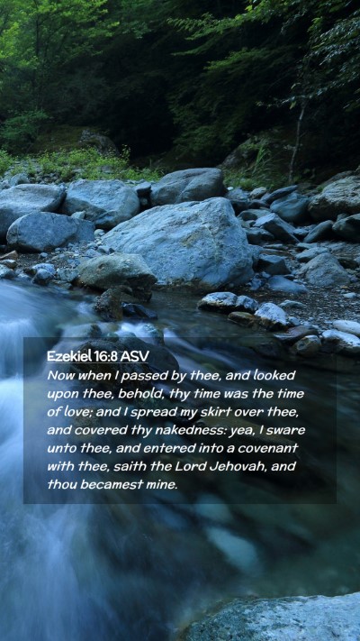 Picture 02 - Ezekiel 16:8 ASV Mobile Phone Wallpaper - Now when I passed by thee, and looked upon thee, - Mobile Bible Verse Wallpaper