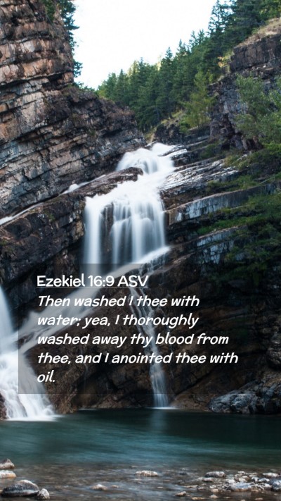 Picture 02 - Ezekiel 16:9 ASV Mobile Phone Wallpaper - Then washed I thee with water; yea, I thoroughly - Mobile Bible Verse Wallpaper