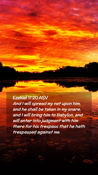 Picture 02 - Ezekiel 17:20 ASV Mobile Phone Wallpaper - And I will spread my net upon him, and he shall - Mobile Bible Verse Wallpaper