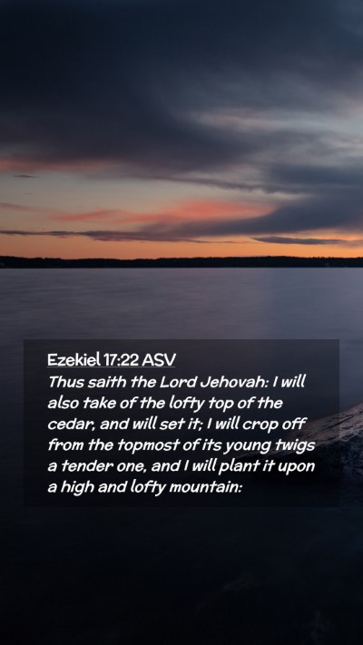 Picture 02 - Ezekiel 17:22 ASV Mobile Phone Wallpaper - Thus saith the Lord Jehovah: I will also take of - Mobile Bible Verse Wallpaper