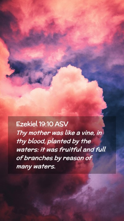 Picture 02 - Ezekiel 19:10 ASV Mobile Phone Wallpaper - Thy mother was like a vine, in thy blood, planted - Mobile Bible Verse Wallpaper