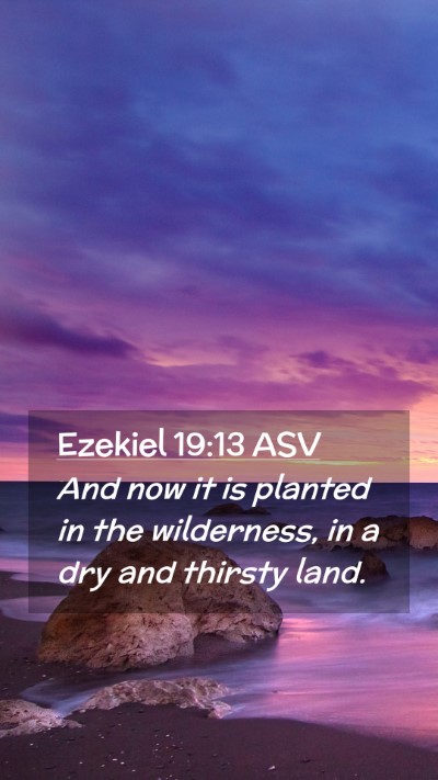 Picture 02 - Ezekiel 19:13 ASV Mobile Phone Wallpaper - And now it is planted in the wilderness, in a dry - Mobile Bible Verse Wallpaper