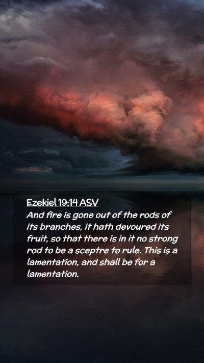Picture 02 - Ezekiel 19:14 ASV Mobile Phone Wallpaper - And fire is gone out of the rods of its branches, - Mobile Bible Verse Wallpaper