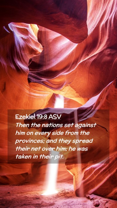 Picture 02 - Ezekiel 19:8 ASV Mobile Phone Wallpaper - Then the nations set against him on every side - Mobile Bible Verse Wallpaper