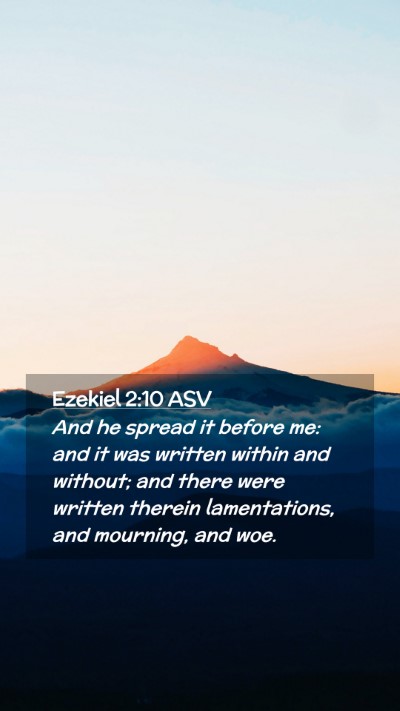 Picture 02 - Ezekiel 2:10 ASV Mobile Phone Wallpaper - And he spread it before me: and it was written - Mobile Bible Verse Wallpaper