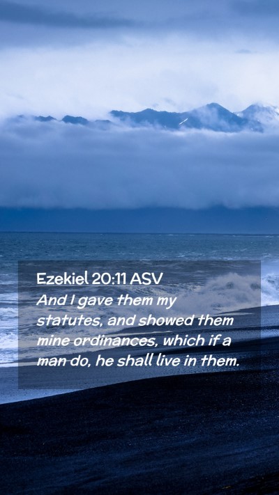 Picture 02 - Ezekiel 20:11 ASV Mobile Phone Wallpaper - And I gave them my statutes, and showed them mine - Mobile Bible Verse Wallpaper