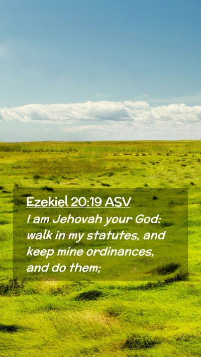 Picture 02 - Ezekiel 20:19 ASV Mobile Phone Wallpaper - I am Jehovah your God: walk in my statutes, and - Mobile Bible Verse Wallpaper