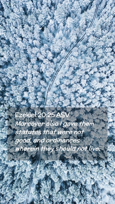 Picture 02 - Ezekiel 20:25 ASV Mobile Phone Wallpaper - Moreover also I gave them statutes that were not - Mobile Bible Verse Wallpaper
