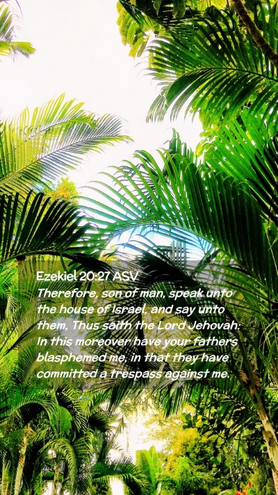 Picture 02 - Ezekiel 20:27 ASV Mobile Phone Wallpaper - Therefore, son of man, speak unto the house of - Mobile Bible Verse Wallpaper