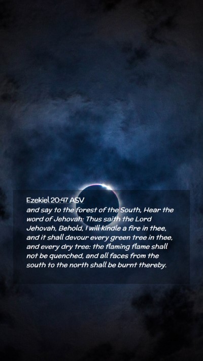 Picture 02 - Ezekiel 20:47 ASV Mobile Phone Wallpaper - and say to the forest of the South, Hear the word - Mobile Bible Verse Wallpaper