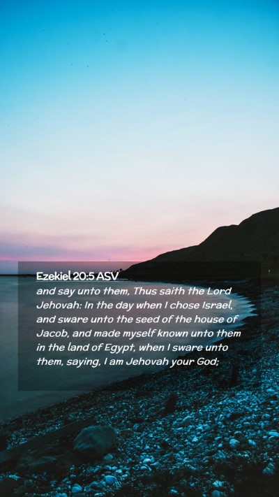 Picture 02 - Ezekiel 20:5 ASV Mobile Phone Wallpaper - and say unto them, Thus saith the Lord Jehovah: - Mobile Bible Verse Wallpaper