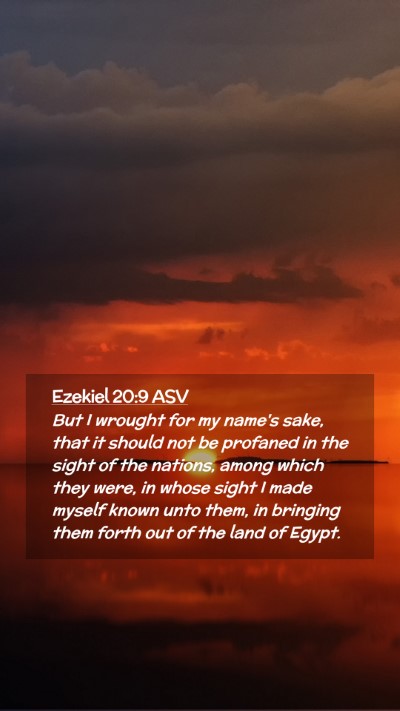 Picture 02 - Ezekiel 20:9 ASV Mobile Phone Wallpaper - But I wrought for my name's sake, that it should - Mobile Bible Verse Wallpaper