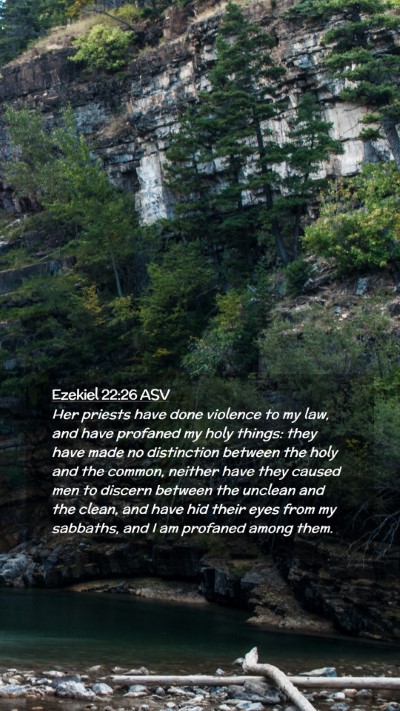 Picture 02 - Ezekiel 22:26 ASV Mobile Phone Wallpaper - Her priests have done violence to my law, and - Mobile Bible Verse Wallpaper