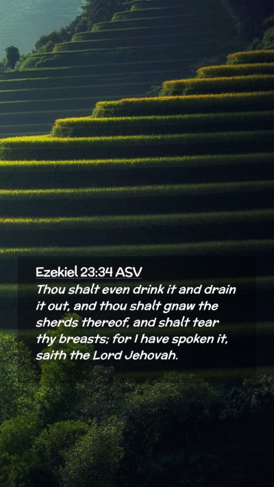 Picture 02 - Ezekiel 23:34 ASV Mobile Phone Wallpaper - Thou shalt even drink it and drain it out, and - Mobile Bible Verse Wallpaper