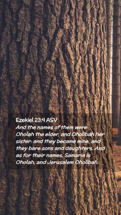 Picture 02 - Ezekiel 23:4 ASV Mobile Phone Wallpaper - And the names of them were Oholah the elder, and - Mobile Bible Verse Wallpaper
