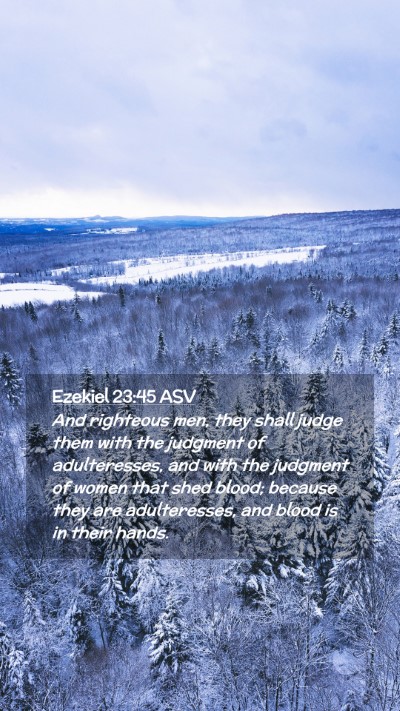 Picture 02 - Ezekiel 23:45 ASV Mobile Phone Wallpaper - And righteous men, they shall judge them with the - Mobile Bible Verse Wallpaper