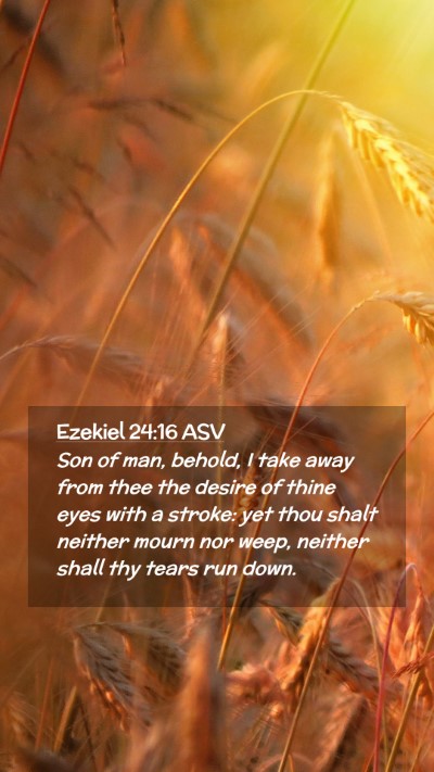 Picture 02 - Ezekiel 24:16 ASV Mobile Phone Wallpaper - Son of man, behold, I take away from thee the - Mobile Bible Verse Wallpaper