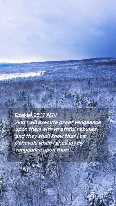 Picture 02 - Ezekiel 25:17 ASV Mobile Phone Wallpaper - And I will execute great vengeance upon them with - Mobile Bible Verse Wallpaper