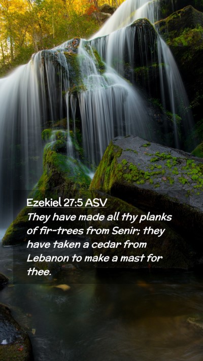 Picture 02 - Ezekiel 27:5 ASV Mobile Phone Wallpaper - They have made all thy planks of fir-trees from - Mobile Bible Verse Wallpaper
