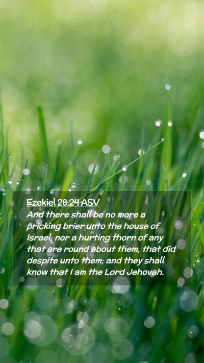 Picture 02 - Ezekiel 28:24 ASV Mobile Phone Wallpaper - And there shall be no more a pricking brier unto - Mobile Bible Verse Wallpaper