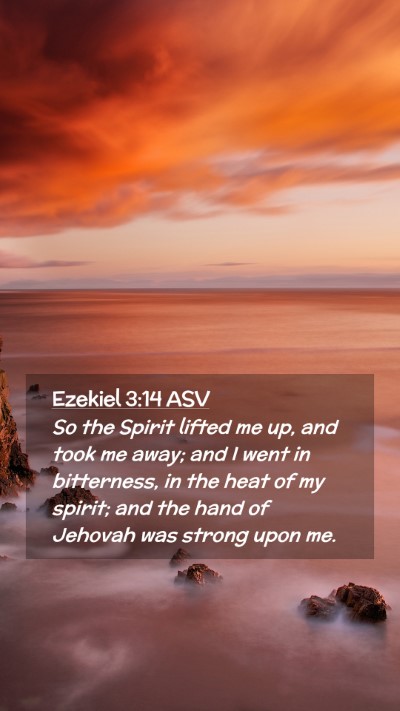 Picture 02 - Ezekiel 3:14 ASV Mobile Phone Wallpaper - So the Spirit lifted me up, and took me away; and - Mobile Bible Verse Wallpaper