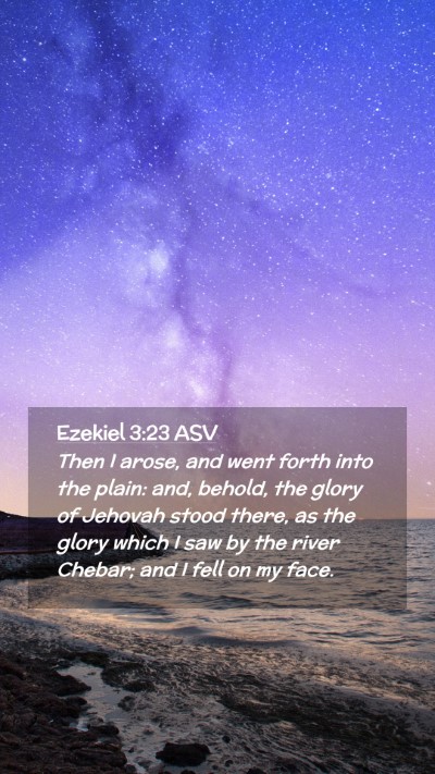 Picture 02 - Ezekiel 3:23 ASV Mobile Phone Wallpaper - Then I arose, and went forth into the plain: and, - Mobile Bible Verse Wallpaper