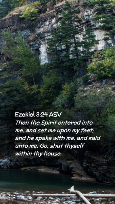 Picture 02 - Ezekiel 3:24 ASV Mobile Phone Wallpaper - Then the Spirit entered into me, and set me upon - Mobile Bible Verse Wallpaper