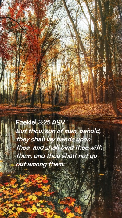 Picture 02 - Ezekiel 3:25 ASV Mobile Phone Wallpaper - But thou, son of man, behold, they shall lay - Mobile Bible Verse Wallpaper