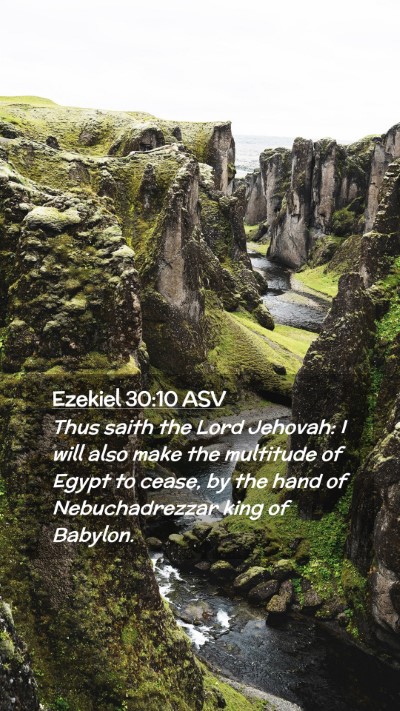 Picture 02 - Ezekiel 30:10 ASV Mobile Phone Wallpaper - Thus saith the Lord Jehovah: I will also make the - Mobile Bible Verse Wallpaper