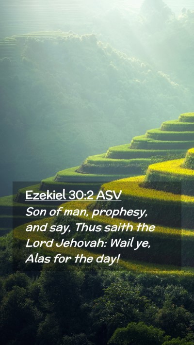 Picture 02 - Ezekiel 30:2 ASV Mobile Phone Wallpaper - Son of man, prophesy, and say, Thus saith the - Mobile Bible Verse Wallpaper