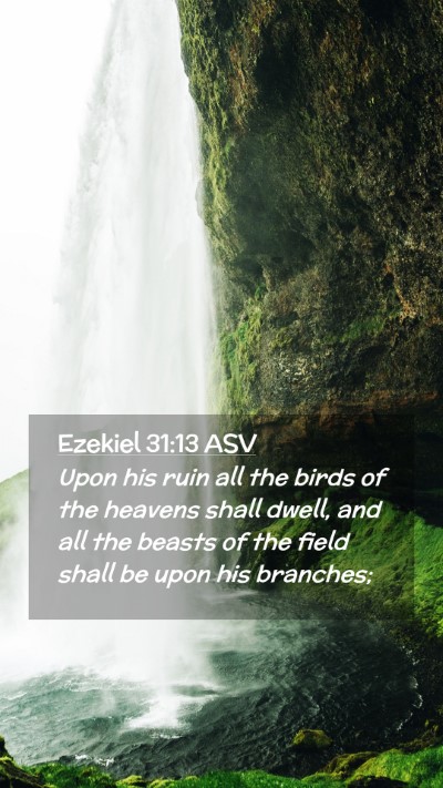 Picture 02 - Ezekiel 31:13 ASV Mobile Phone Wallpaper - Upon his ruin all the birds of the heavens shall - Mobile Bible Verse Wallpaper