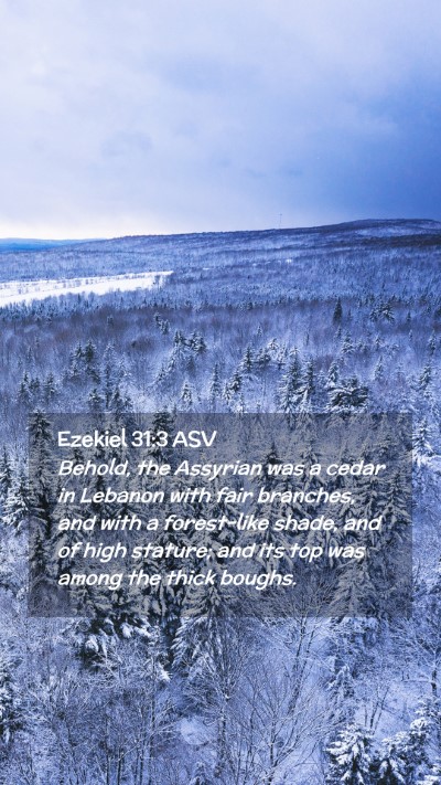Picture 02 - Ezekiel 31:3 ASV Mobile Phone Wallpaper - Behold, the Assyrian was a cedar in Lebanon with - Mobile Bible Verse Wallpaper