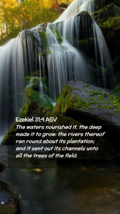 Picture 02 - Ezekiel 31:4 ASV Mobile Phone Wallpaper - The waters nourished it, the deep made it to - Mobile Bible Verse Wallpaper