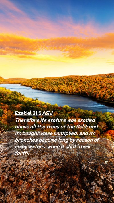 Picture 02 - Ezekiel 31:5 ASV Mobile Phone Wallpaper - Therefore its stature was exalted above all the - Mobile Bible Verse Wallpaper