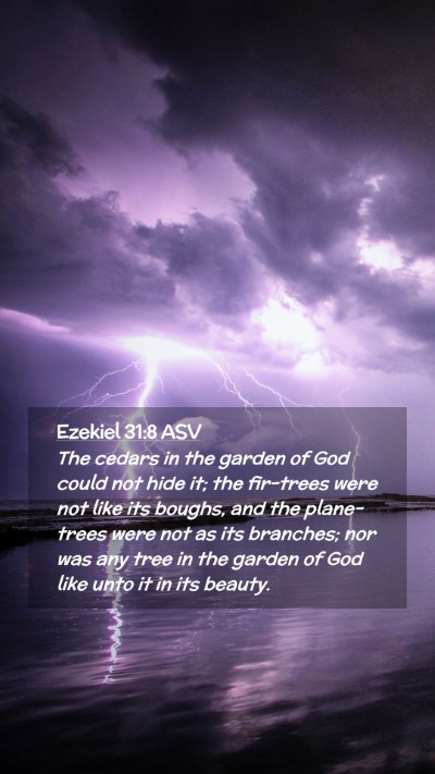 Picture 02 - Ezekiel 31:8 ASV Mobile Phone Wallpaper - The cedars in the garden of God could not hide - Mobile Bible Verse Wallpaper