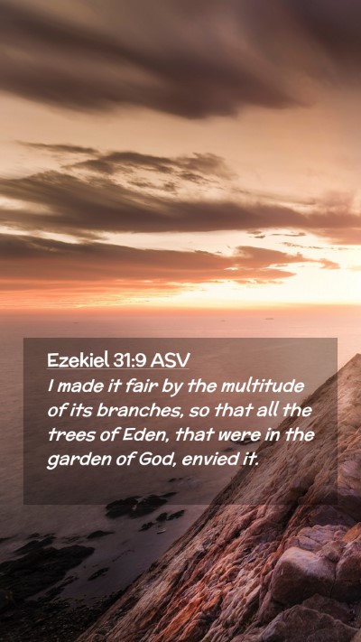 Picture 02 - Ezekiel 31:9 ASV Mobile Phone Wallpaper - I made it fair by the multitude of its branches, - Mobile Bible Verse Wallpaper