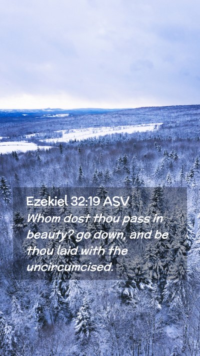 Picture 02 - Ezekiel 32:19 ASV Mobile Phone Wallpaper - Whom dost thou pass in beauty? go down, and be - Mobile Bible Verse Wallpaper