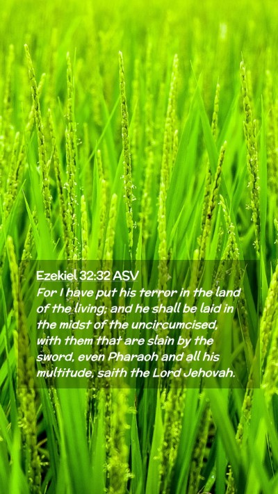 Picture 02 - Ezekiel 32:32 ASV Mobile Phone Wallpaper - For I have put his terror in the land of the - Mobile Bible Verse Wallpaper