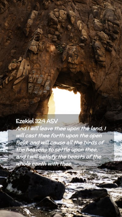 Picture 02 - Ezekiel 32:4 ASV Mobile Phone Wallpaper - And I will leave thee upon the land, I will cast - Mobile Bible Verse Wallpaper
