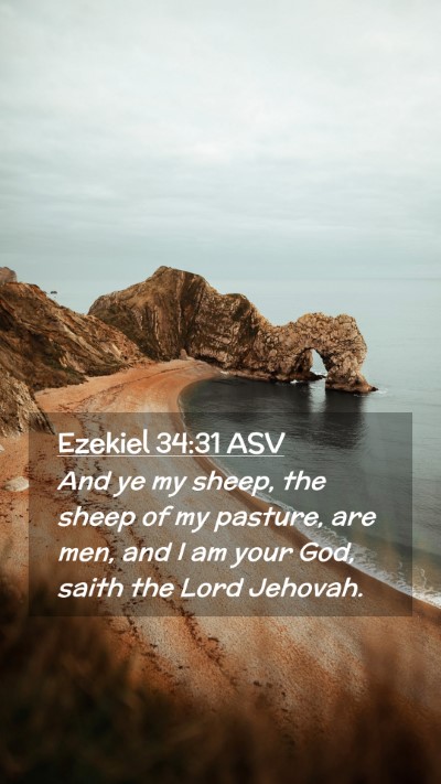 Picture 02 - Ezekiel 34:31 ASV Mobile Phone Wallpaper - And ye my sheep, the sheep of my pasture, are - Mobile Bible Verse Wallpaper
