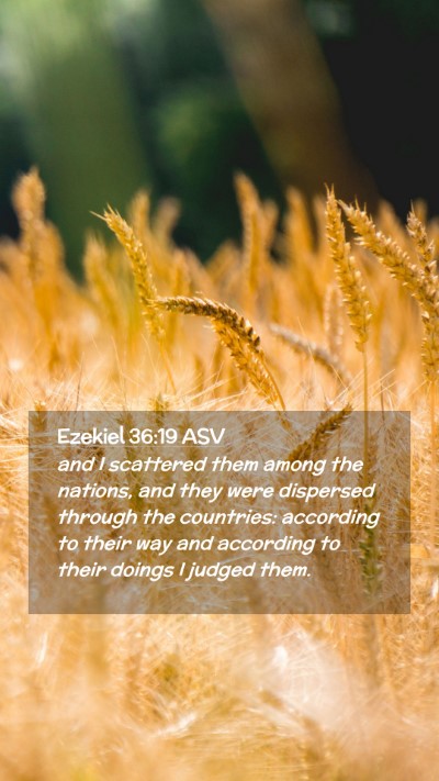 Picture 02 - Ezekiel 36:19 ASV Mobile Phone Wallpaper - and I scattered them among the nations, and they - Mobile Bible Verse Wallpaper